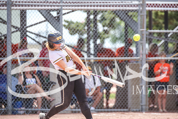 WSR_Softball_State-213