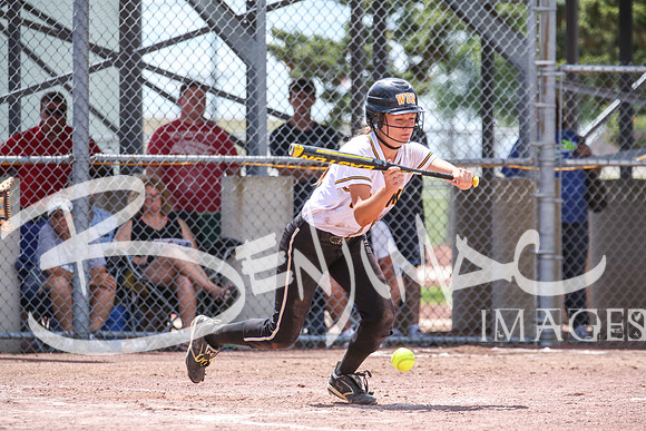WSR_Softball_State-203