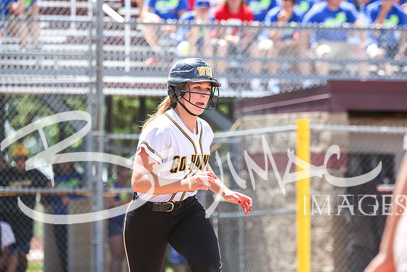 WSR_Softball_State-197